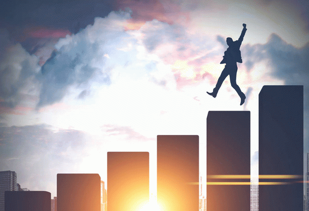 تبدیل غذای طوطی از دانه به پلت: ۱۸ نکته مهم